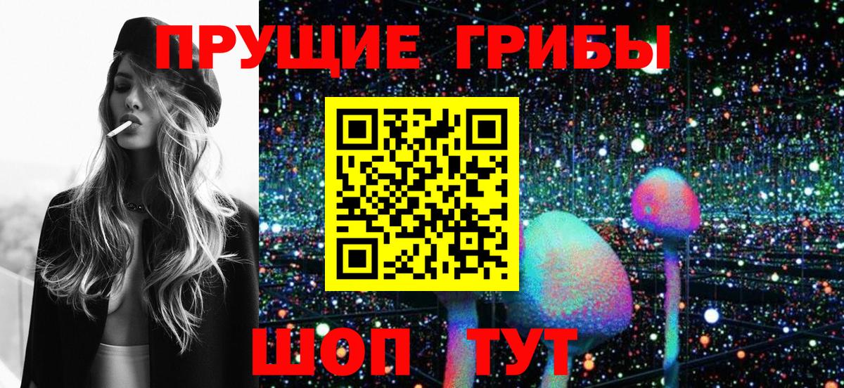 Холмск  Галлюциногенные грибы GOLDEN TEACHER  где купить наркоту  Вход с VPN  Псилоцибиновые грибы мухоморы 